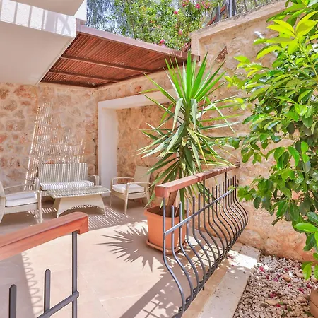 Molino 3*